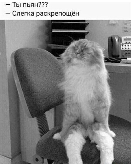 смешные мемы про алкоголь