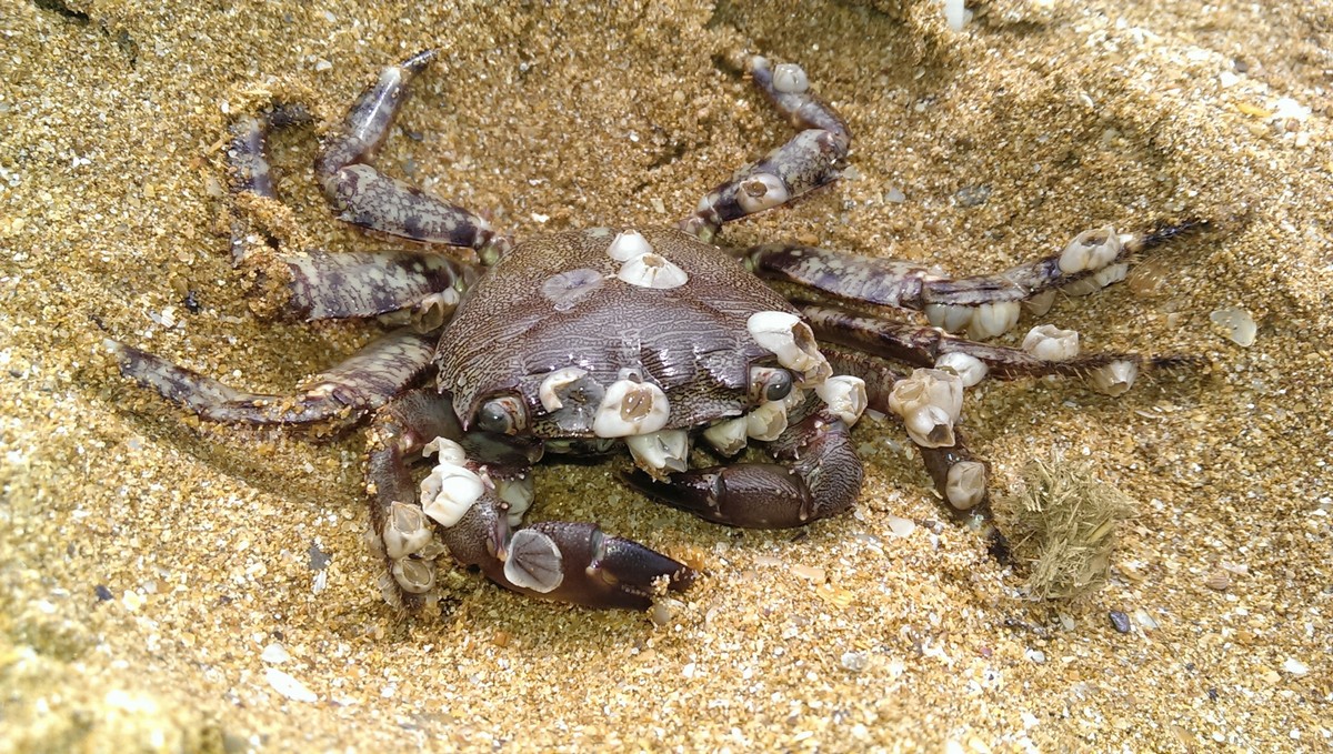 мерзкие приколы