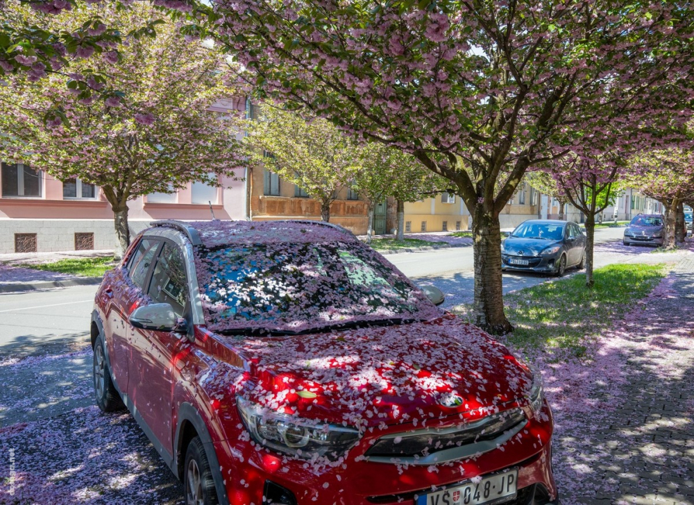 позитивные картинки