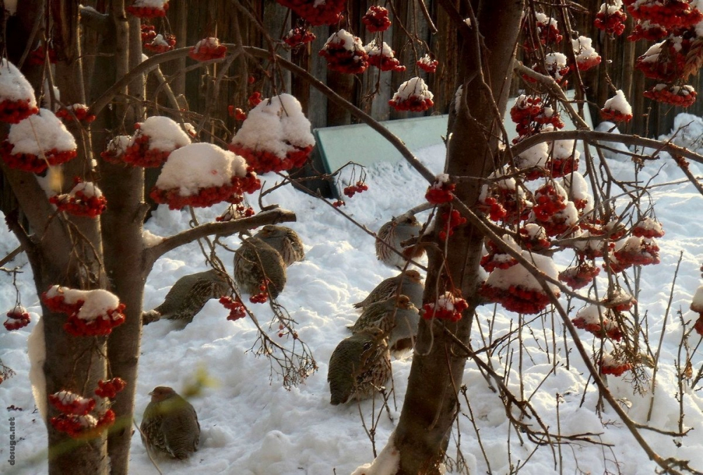 позитивные картинки