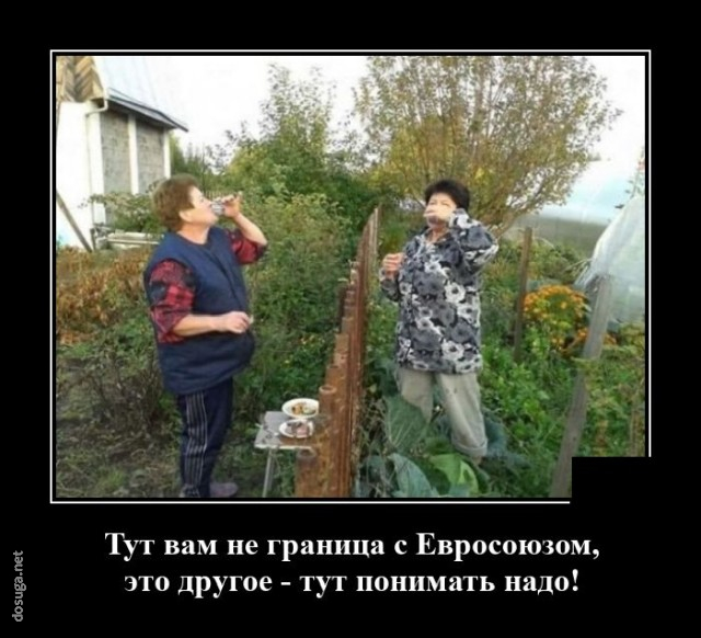 смешной демотиватор