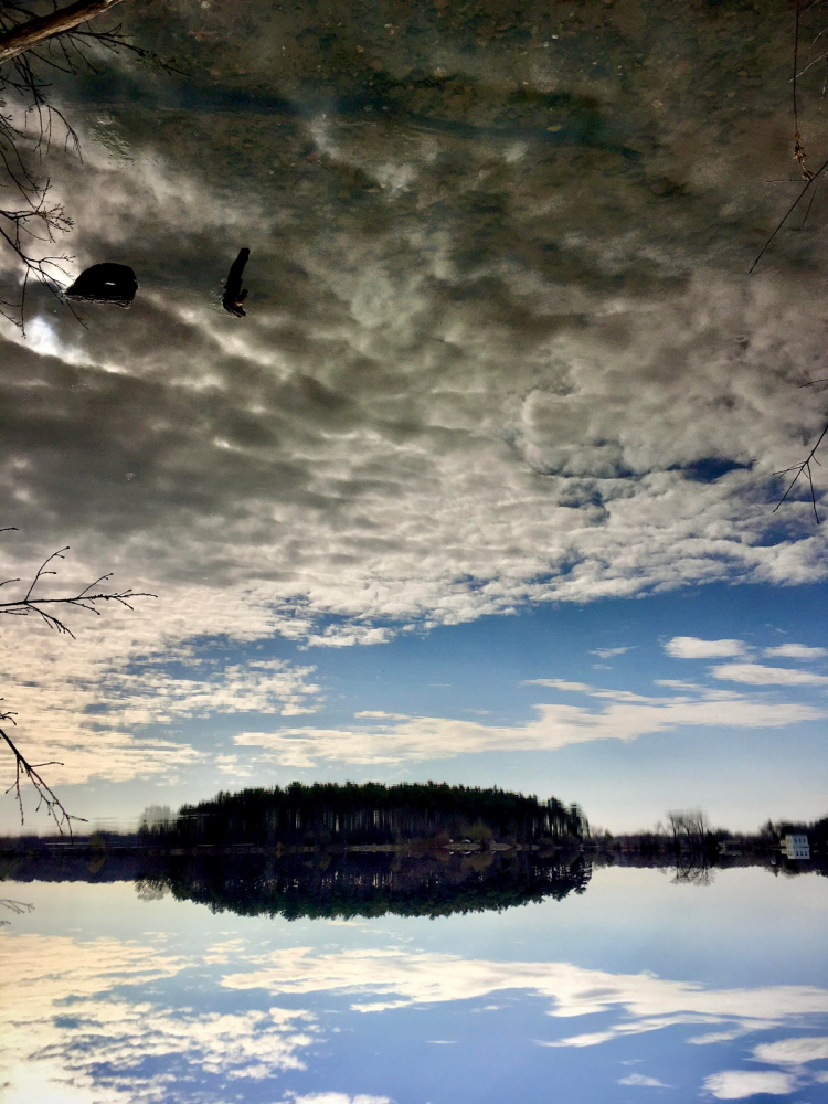 показалось