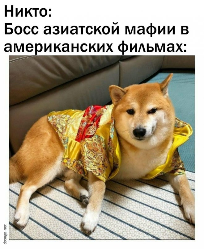смешные мемы