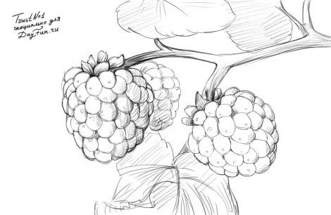 красивая картинка для срисовки