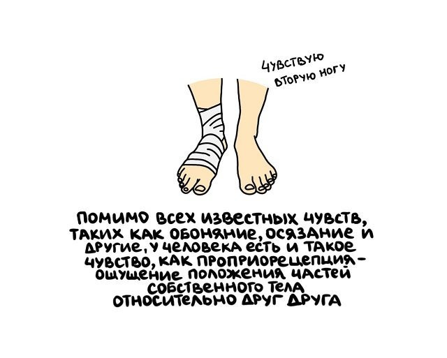 Факты в картинках