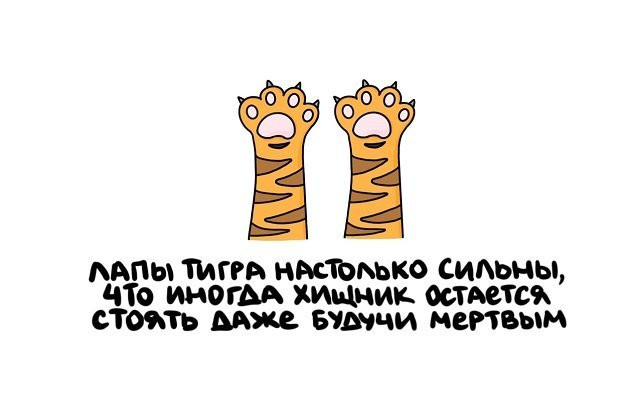 Факты в картинках