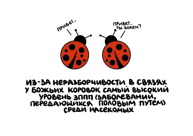 Факты в картинках