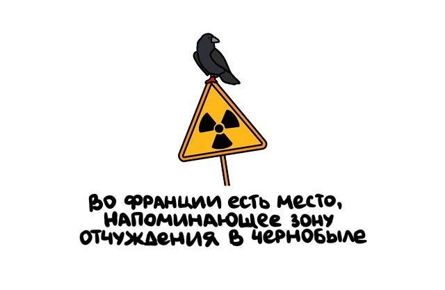 Факты в картинках