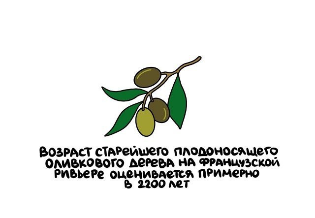 Факты в картинках