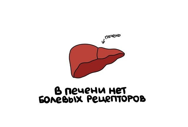 Факты в картинках