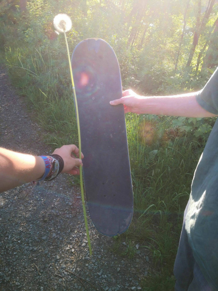 Прикольные картинки