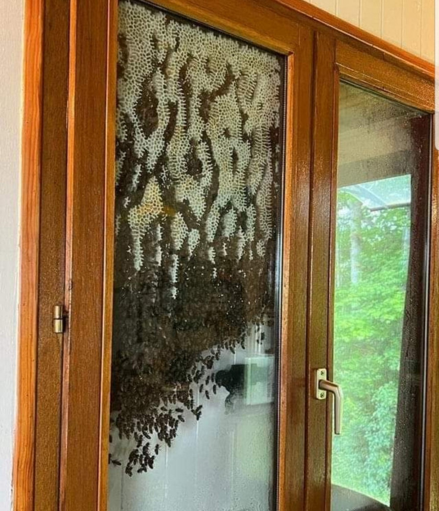 фейлы и неприятности