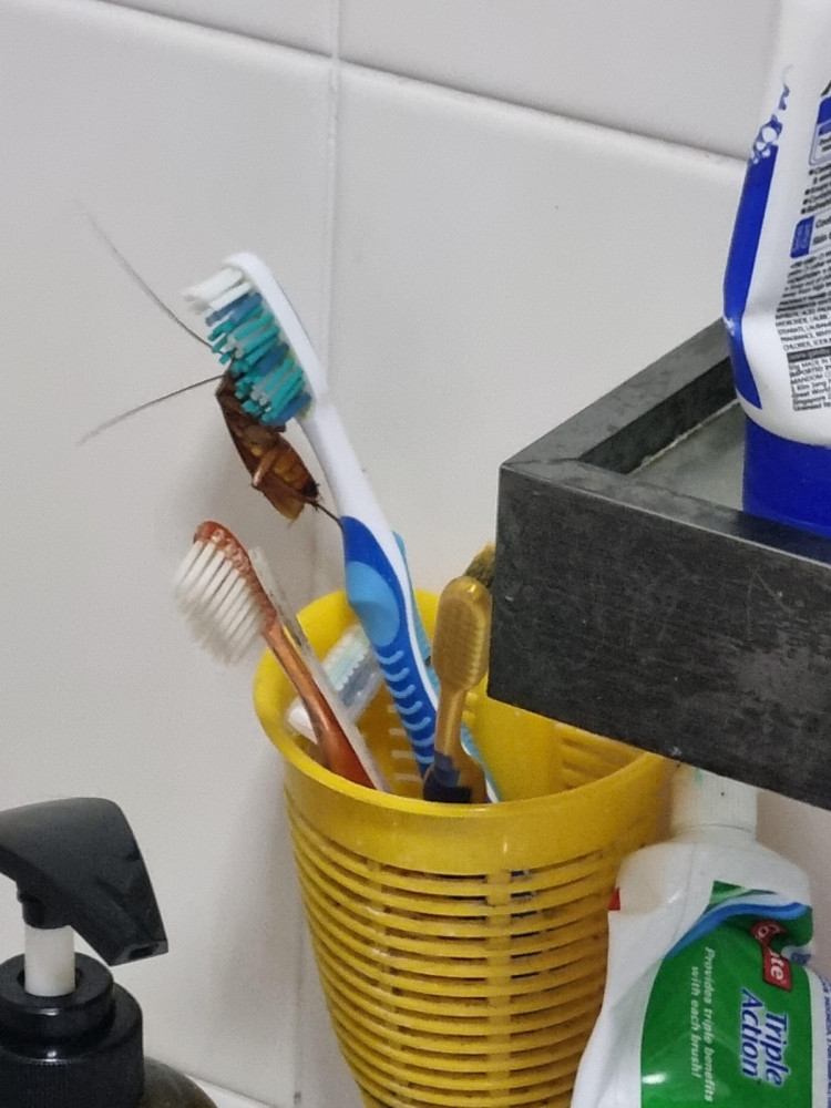 фейлы и неприятности