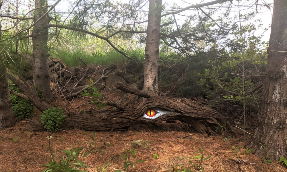 Позитивные смешные картинки на досуге.