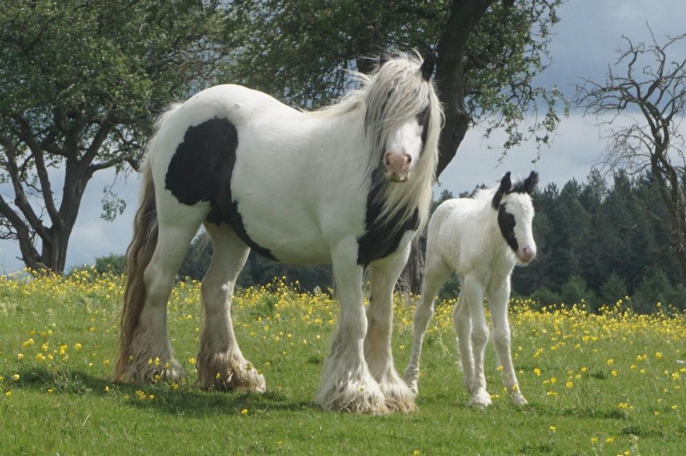 Позитивные смешные картинки на досуге.