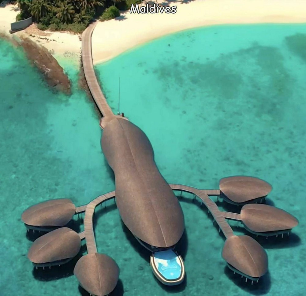 Позитивные смешные картинки на досуге.