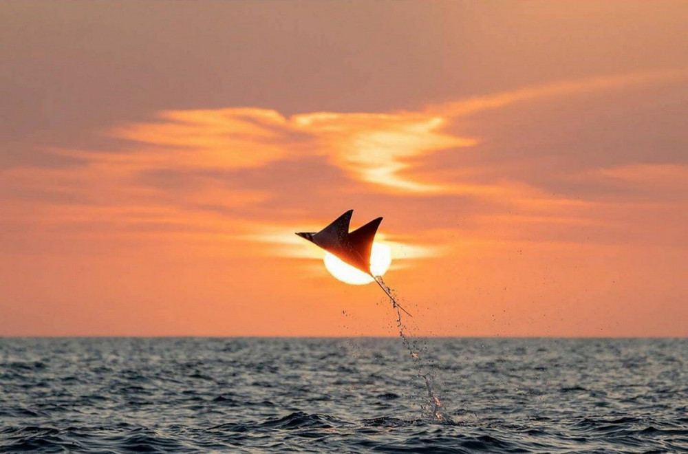 Позитивные картинки