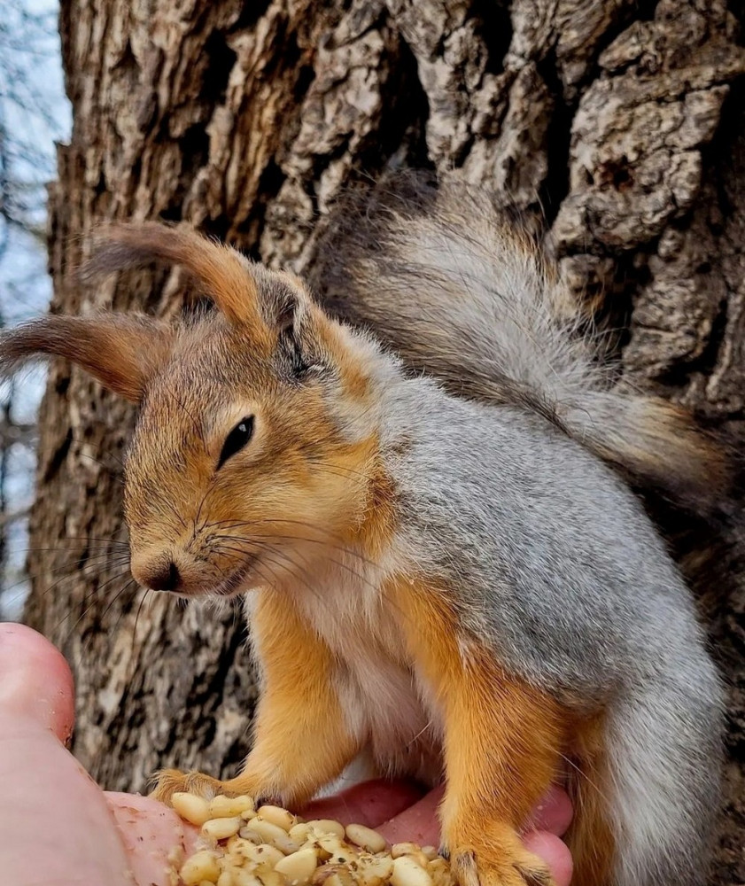 прикольные картинки