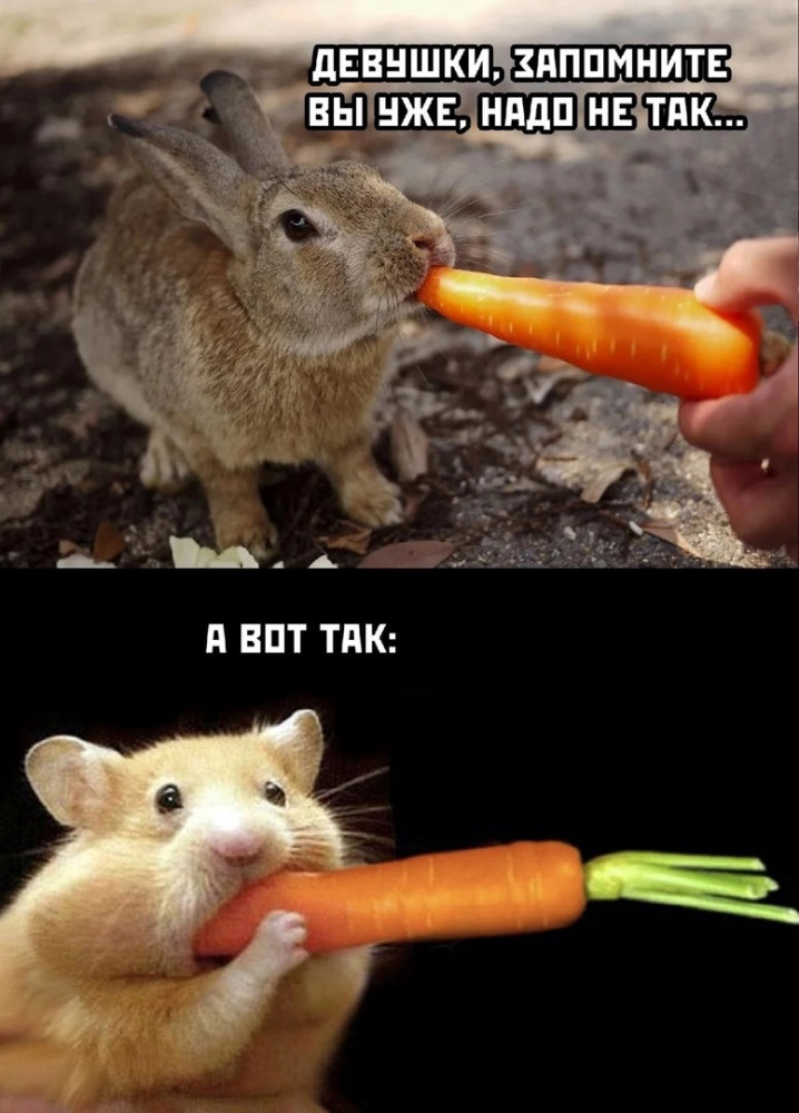 Прикольные картинки, мемы.