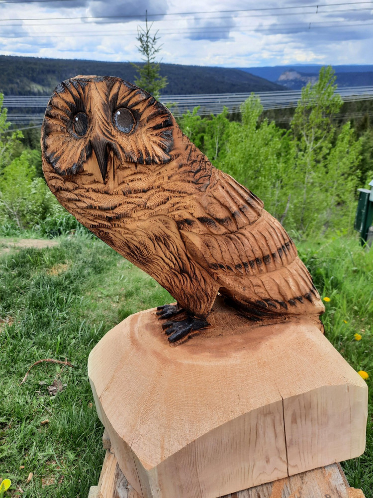 Позитивные картинки для самого хорошего настроения.