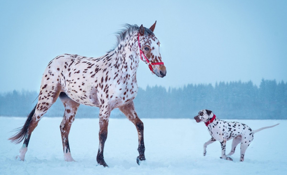 Позитивные картинки для самого хорошего настроения.