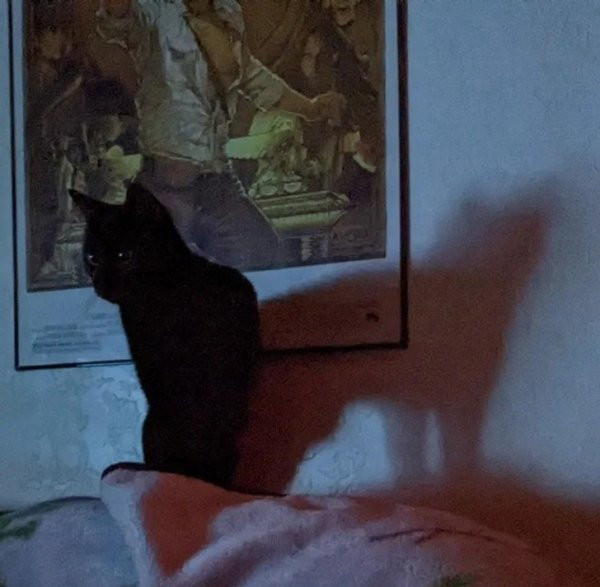 Показалось