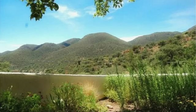 Показалось