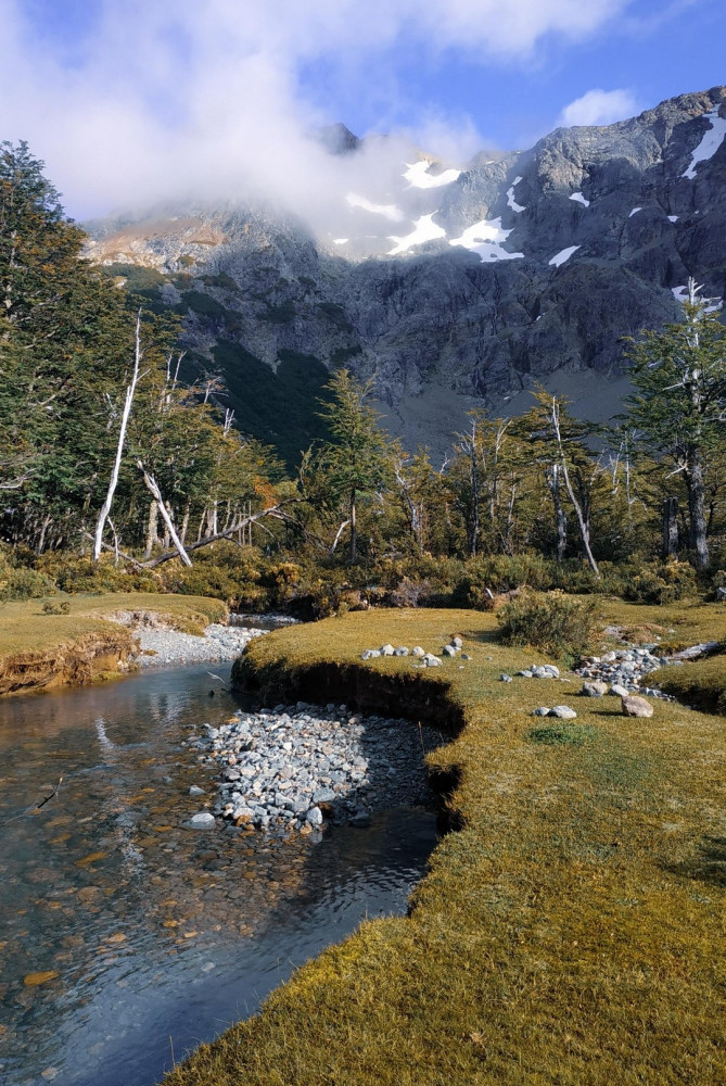 Красивая природа