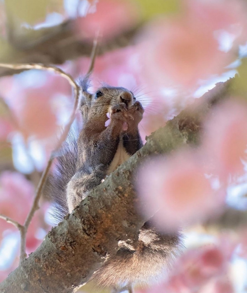 Крутые картинки