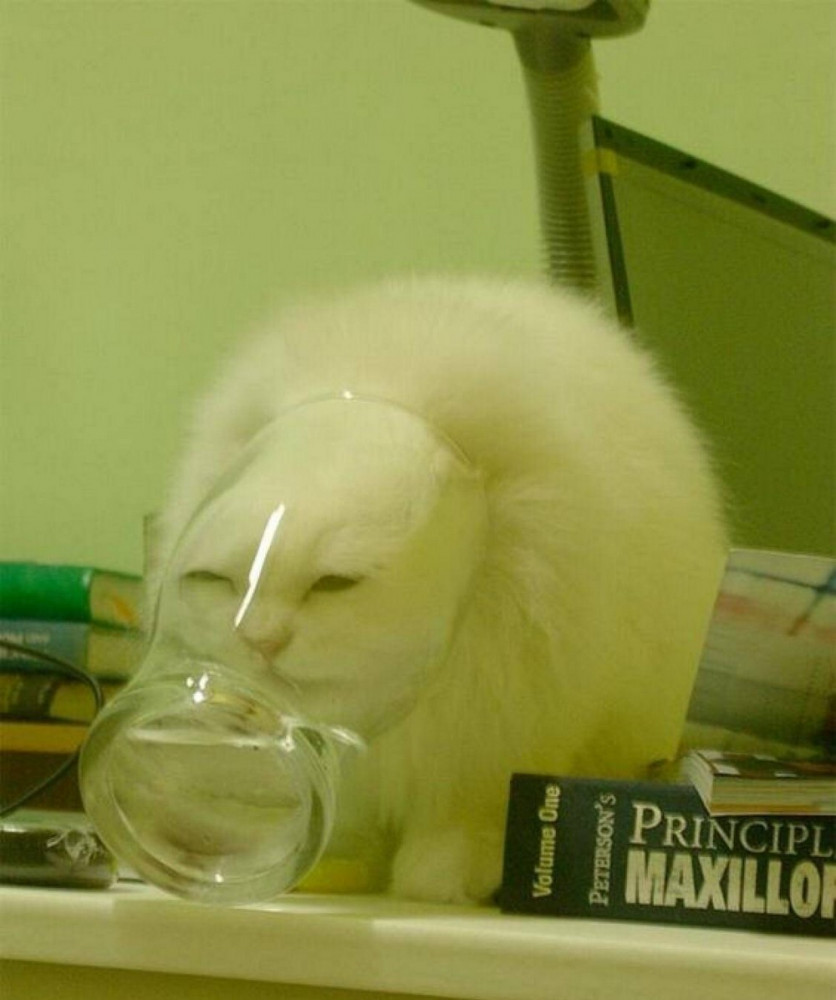 Крутые картинки