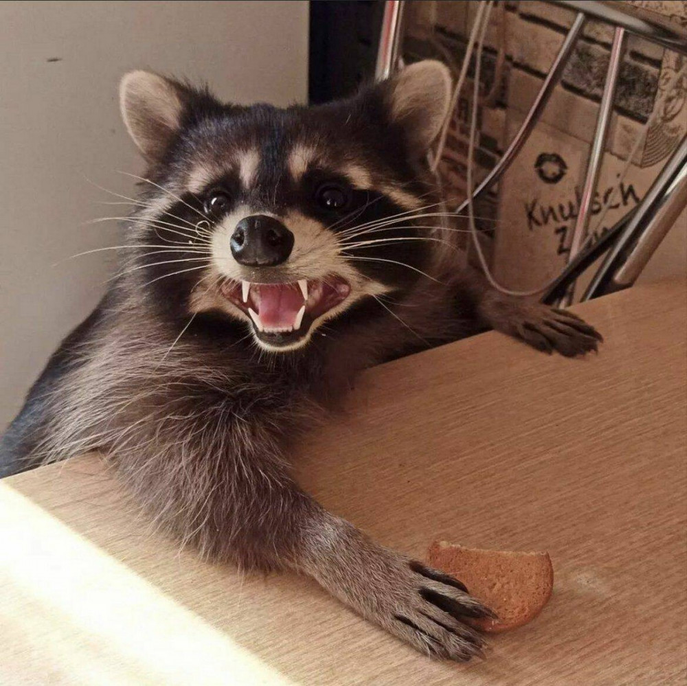 Прикольная картинка для хорошего настроения