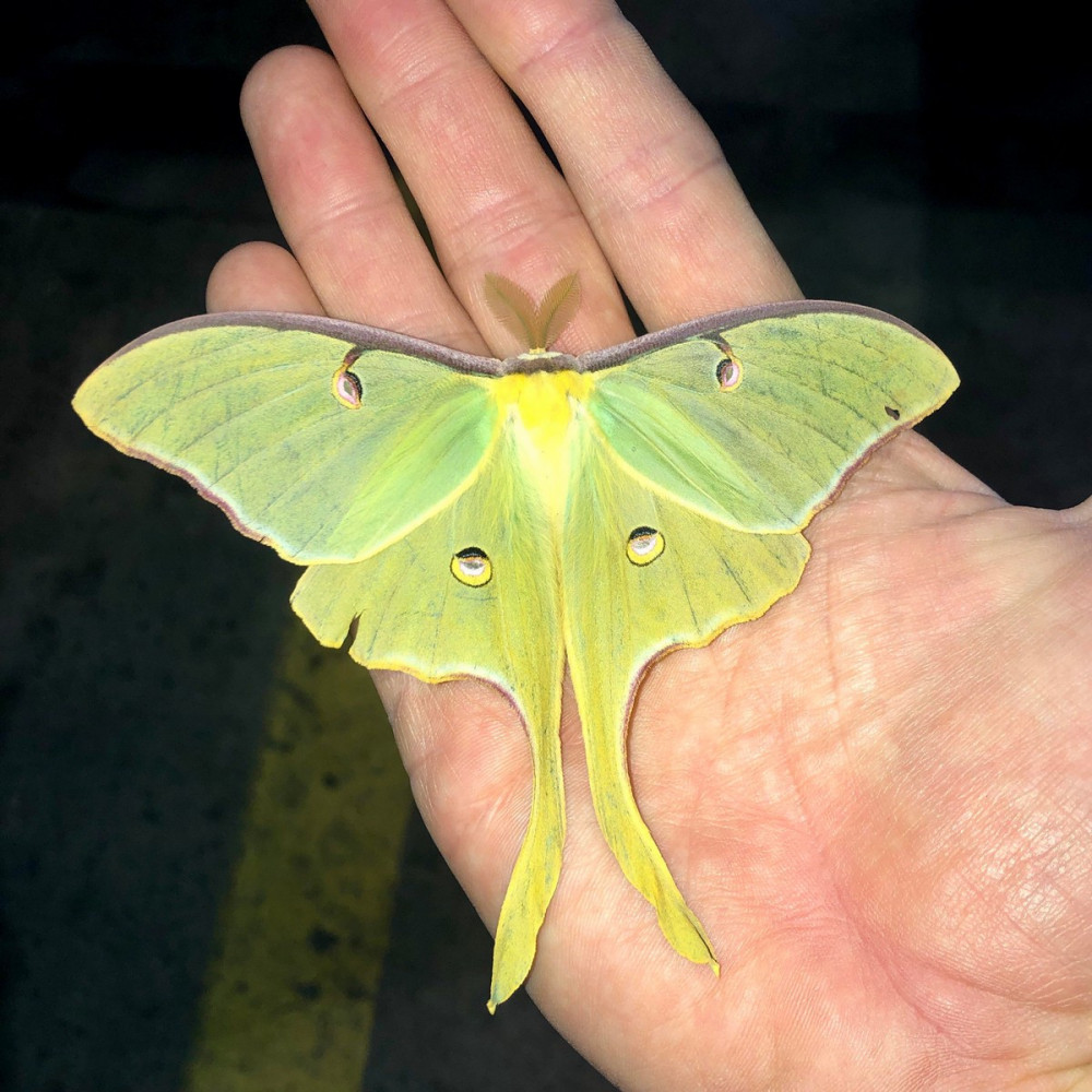 Прикольная картинка для хорошего настроения