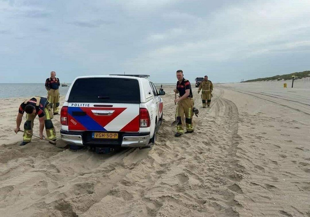 Прикольная картинка для хорошего настроения