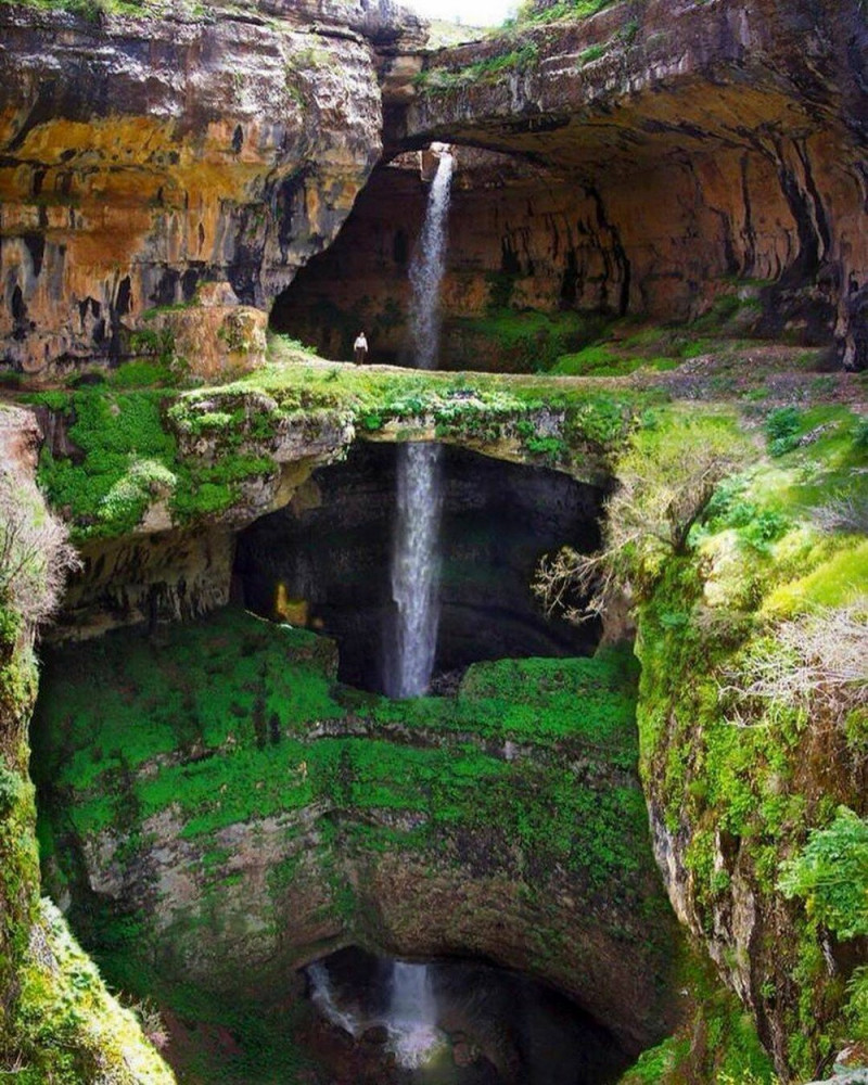 Прикольная картинка для хорошего настроения