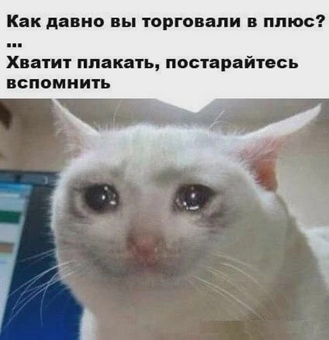 Приколы про инвесторов