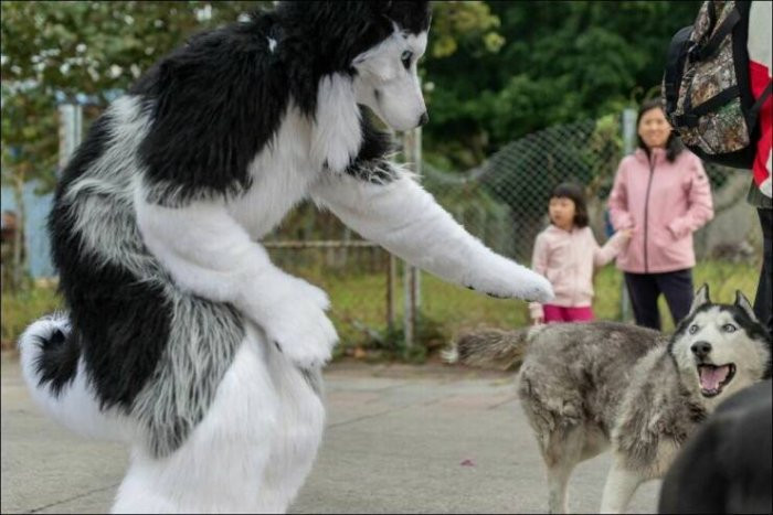 Крейзи приколы