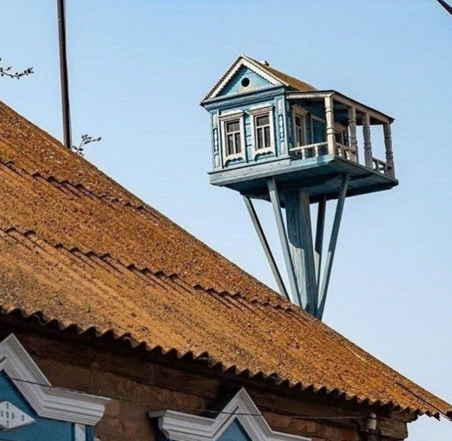 Крейзи приколы