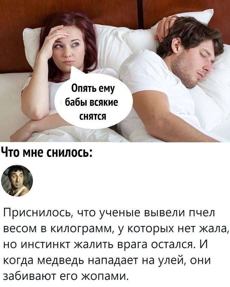 Мемы на досуге