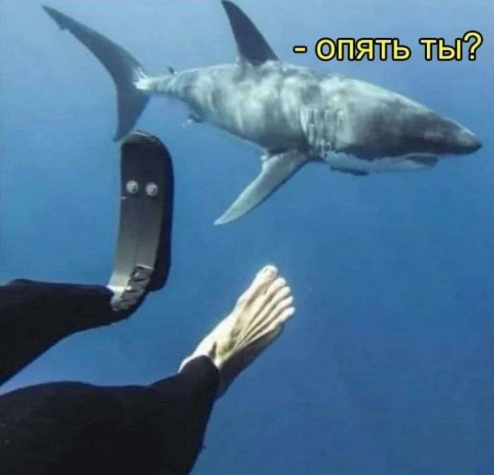 Мемы на досуге