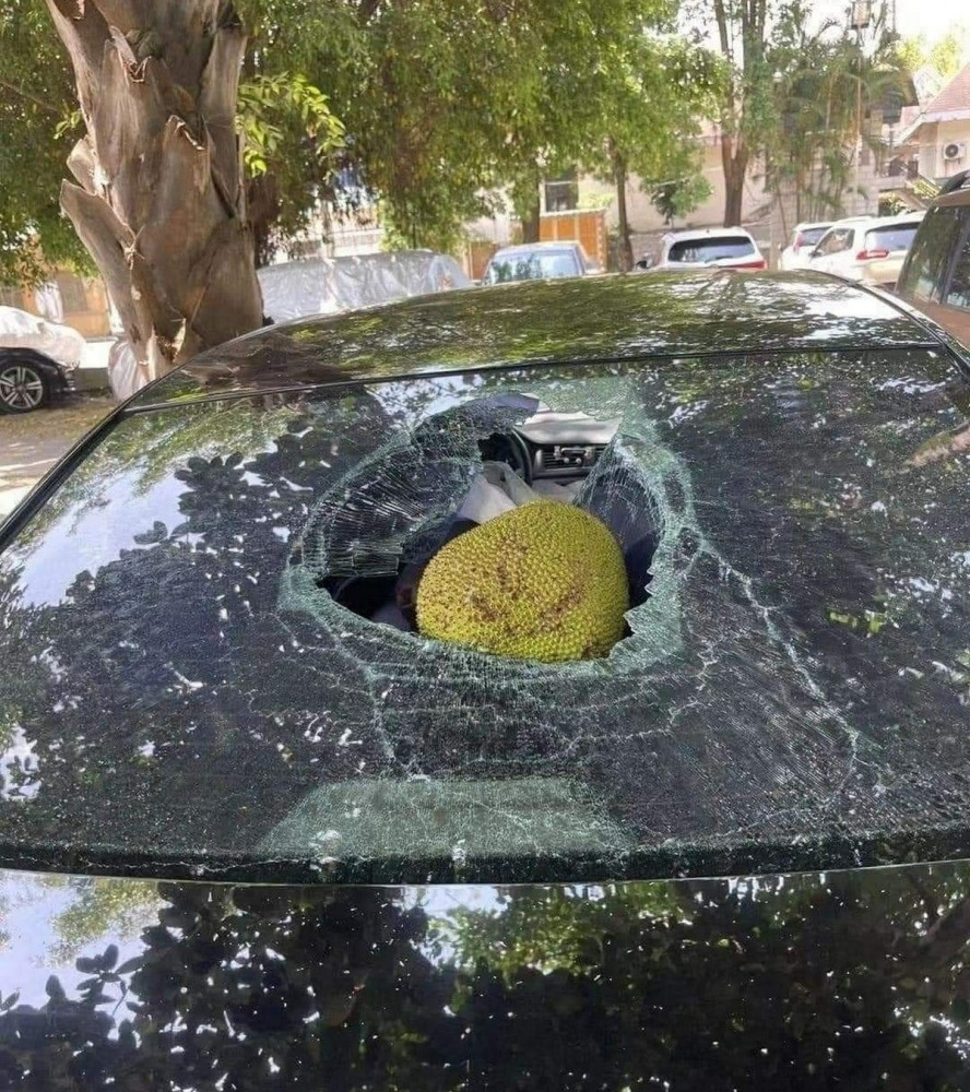 Неудачи из жизни