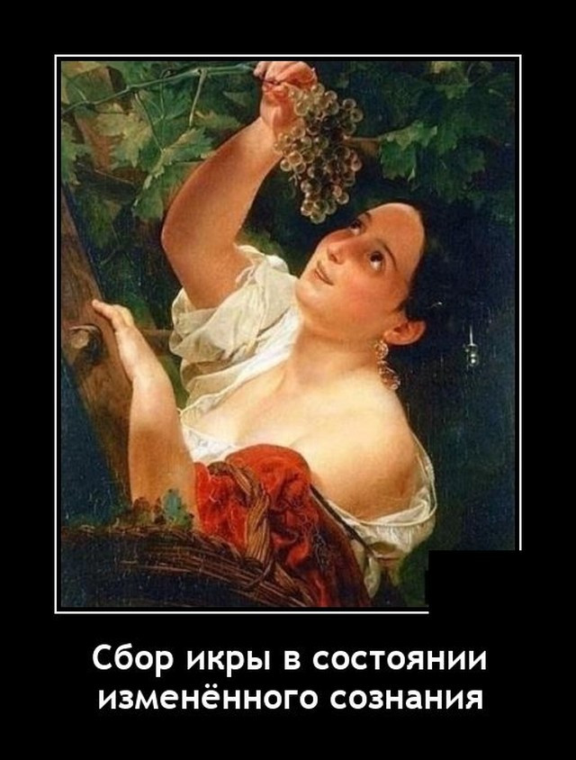 Смешная картинка демотиватор