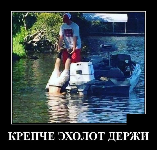 Смешная картинка демотиватор