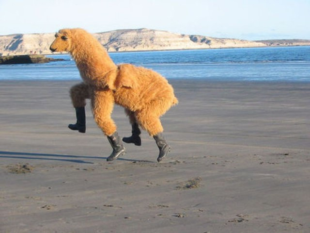 Фото приколы из социальных сетей с Пошлинкой