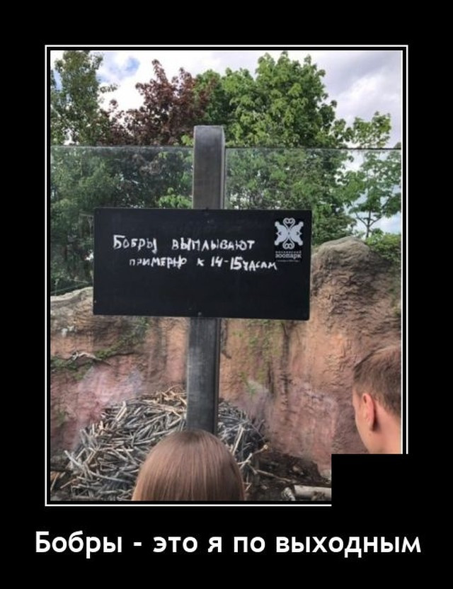 Смешные картинки