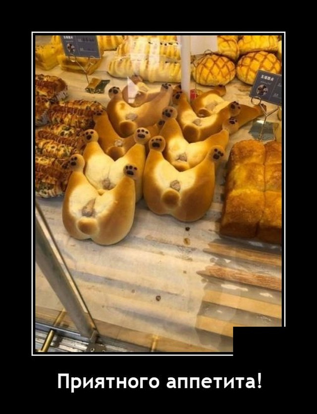 Смешные картинки