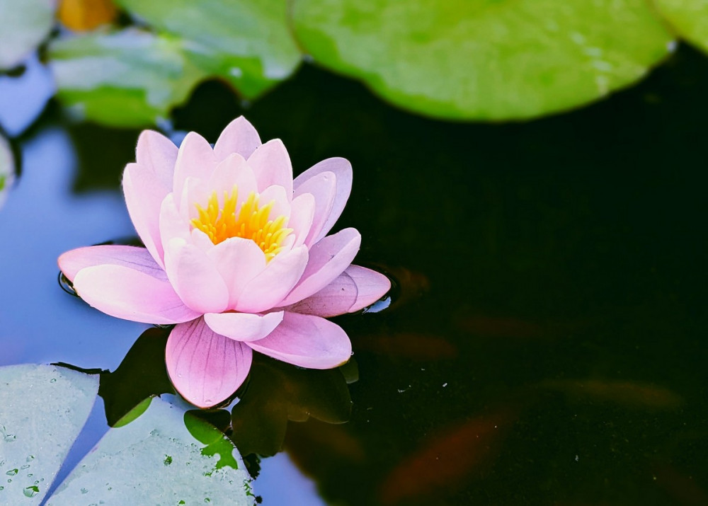 позитивити