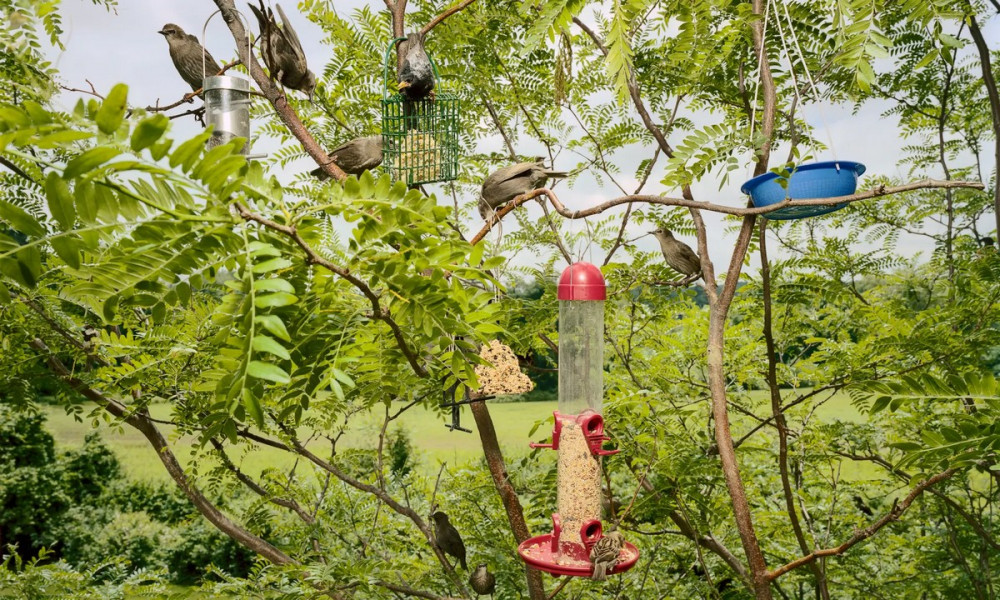 позитивити