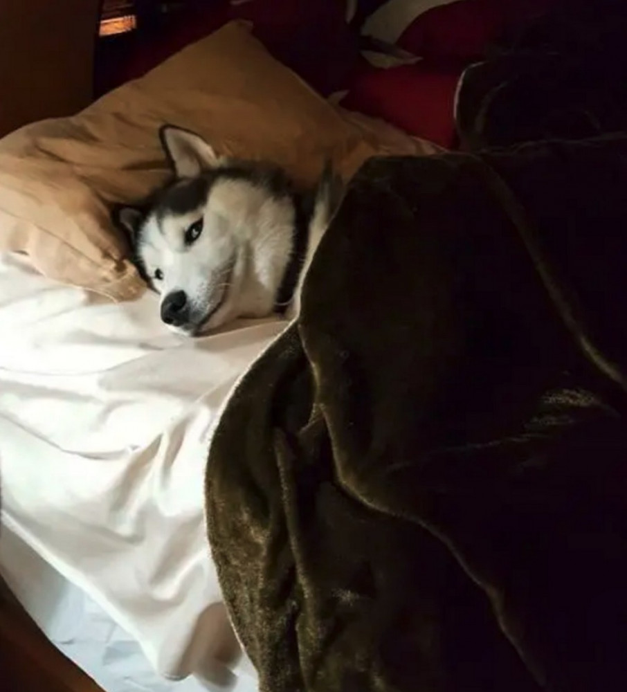 Позитив на досуга нет