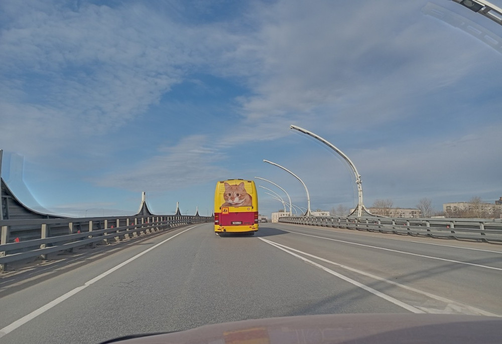 Самые позитивные картинки для хорошего настроения и время провождения