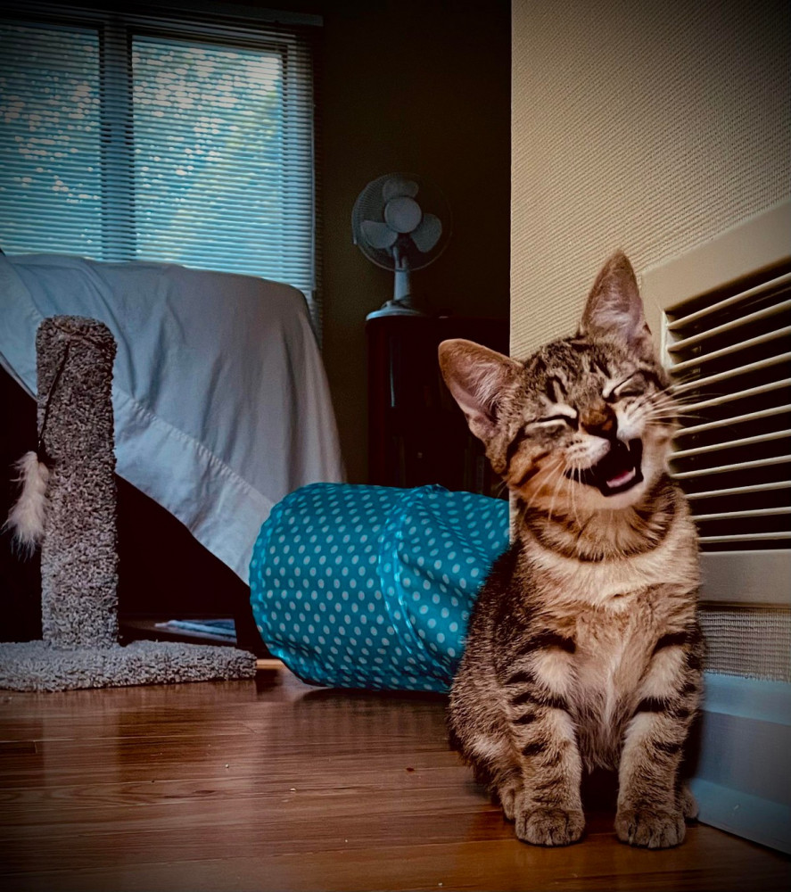 Самые позитивные картинки для хорошего настроения и время провождения